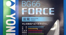 bg66force